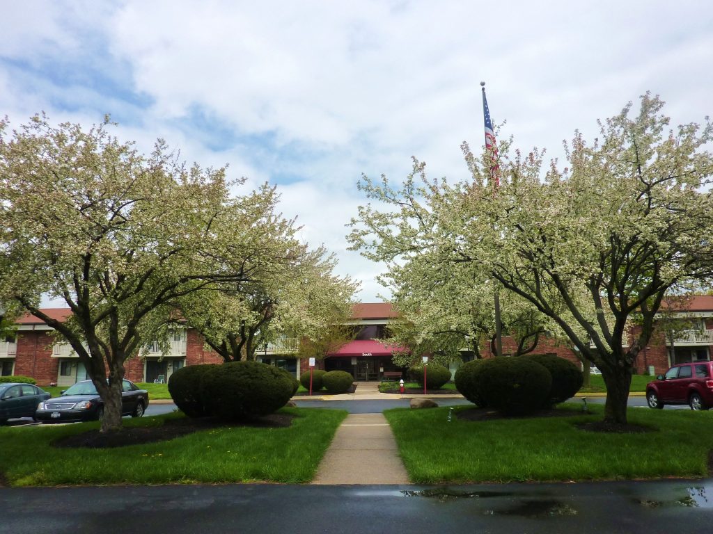 Seton Square North Borror